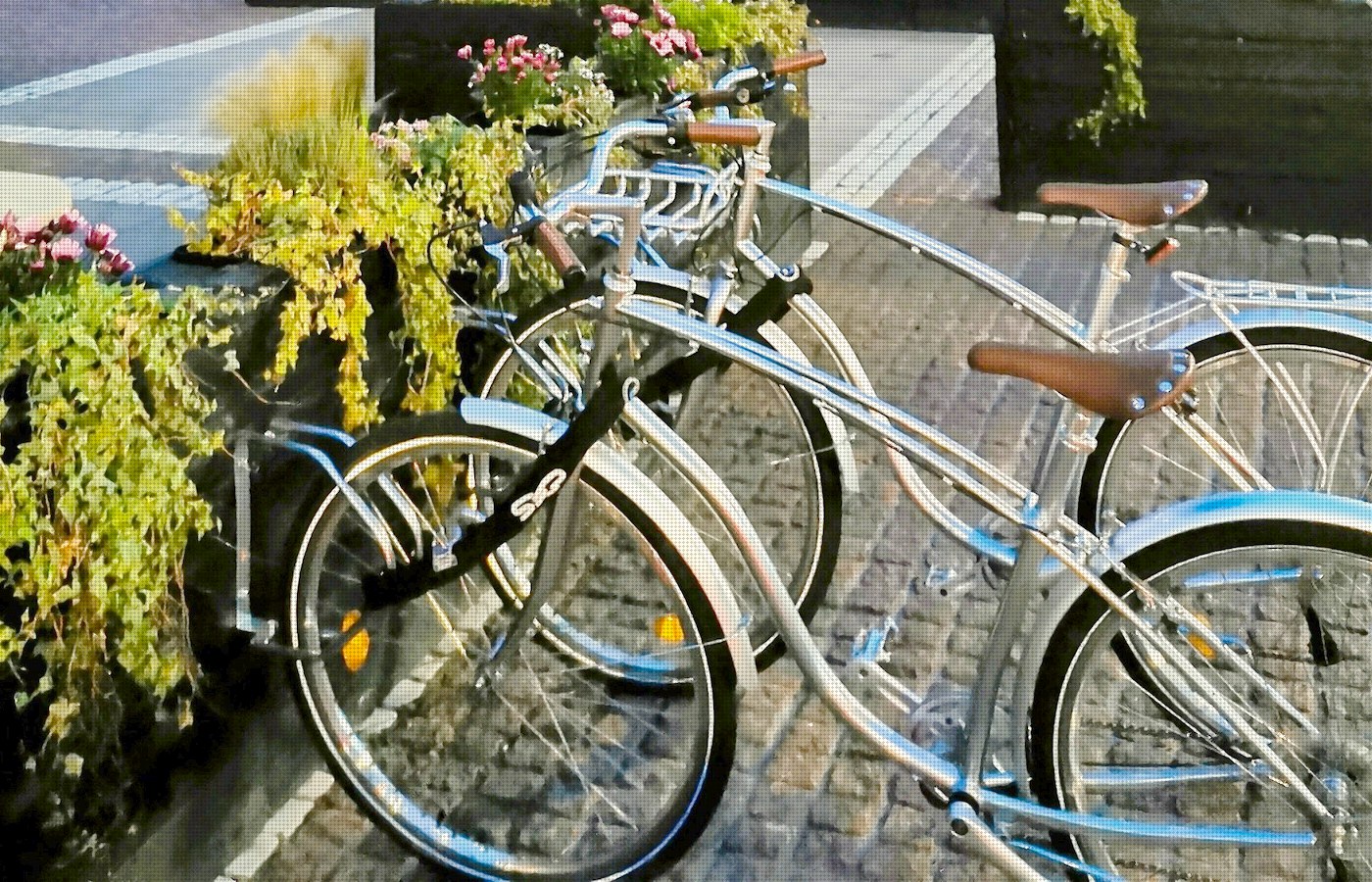 Cyklar från Silver Surfers